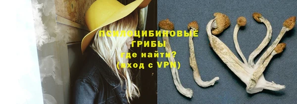 тгк Володарск
