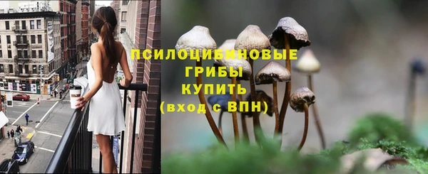 ешки Вязьма